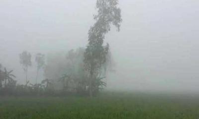 পঞ্চগড়ে বেড়েছে শীতের প্রকোপ, তাপমাত্রা নেমেছে ১২ ডিগ্রিতে