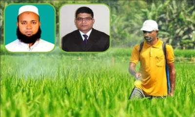 বালাইনাশকের প্রভাবে হুমকিতে কৃষি, প্রাণিসম্পদ ও জনস্বাস্থ্য: বাকৃবি গবেষক
