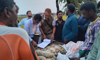 চুয়াডাঙ্গায় খরগোশ হত্যা ও শিকারের দায়ে চারজনের ভ্রাম্যমাণ আদালতে কারাদণ্ড