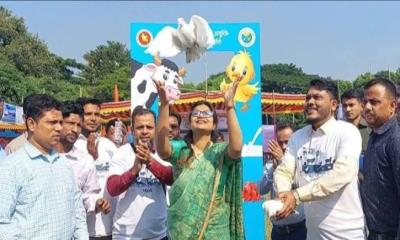 তিতাসে জাতীয় প্রাণিসম্পদ সপ্তাহ উপলক্ষে বর্ণাঢ্য র‍্যালী ও মেলা উদ্বোধন