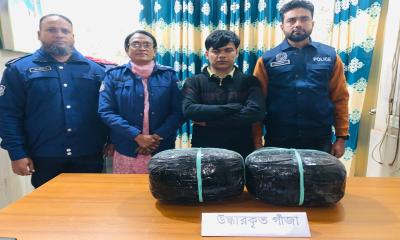 সিংগাইরে গাঁজাসহ মাদক কারবারি আটক