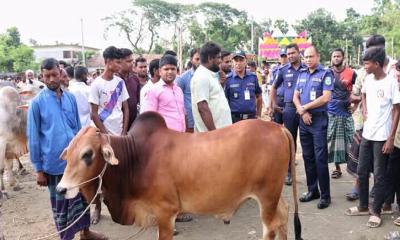 কোরবানির পশুর হাট পরিদর্শনে শেরপুর জেলা পুলিশ সুপার