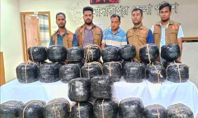 মাদারীপুরে ৯ বস্তা গাঁজাসহ ২ কারবারি গ্রেপ্তার