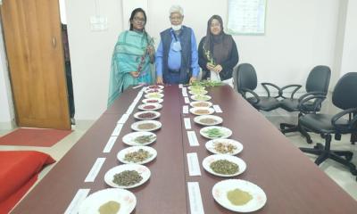 রোজেল: দেশে নতুন ইন্ডাস্ট্রিয়াল উদ্ভিদের নতুন সম্ভাবনা