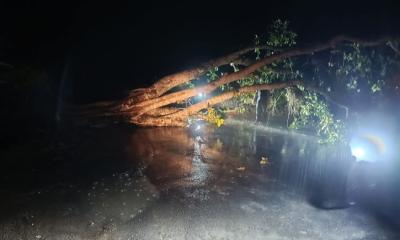 চুয়াডাঙ্গায় কালবৈশাখীর আঘাত, তিনতলা থেকে পড়ে বৃদ্ধের মৃত্যু