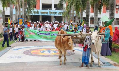 নানা আয়োজনে যবিপ্রবিতে পহেলা বৈশাখ উদযাপন