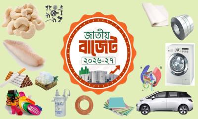 বাজেটে যেসব পণ্যের দাম বাড়তে পারে