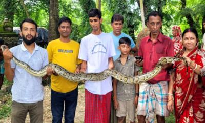 বোয়ালখালীতে মাছ ধরার ফাঁদে আটকা অজগর