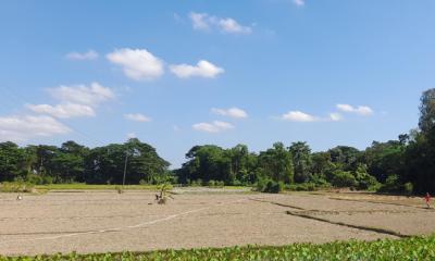বোয়ালখালীতে  সরিষার জন্য জমি প্রস্তুত করছেন কৃষকেরা