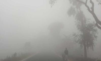 পঞ্চগড়ে বাড়ছে শীতের তীব্রতা, তাপমাত্রা নামল ১২ ডিগ্রিতে