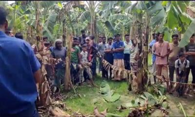 রাজশাহীর পুঠিয়ায় কলাবাগান থেকে লুঙ্গি পেঁচানো অবস্থায় যুবকের মরদেহ উদ্ধার