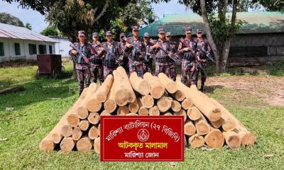 বাঘাইছড়িতে বিজিবির তৎপরতায় ব্যর্থ চোরাকারবারিরা: অবৈধ কাঠ উদ্ধার