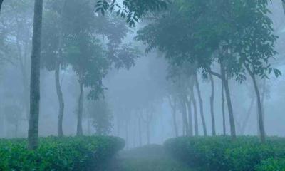আজ দেশের সর্বনিম্ন তাপমাত্রা শ্রীমঙ্গলে