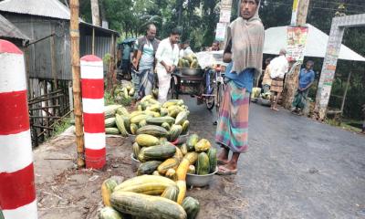 বৃষ্টিতে ভিজে কৃষকের স্বপ্ন