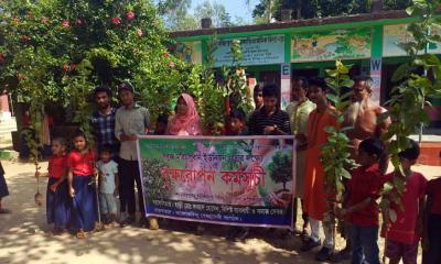নালিতাবাড়ীতে পাঁচ শতাধিক গাছের চারা রোপণ