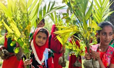 শিক্ষাপ্রতিষ্ঠানে বৃক্ষরোপণ কর্মসূচির উদ্বোধন করলেন প্রধানমন্ত্রী