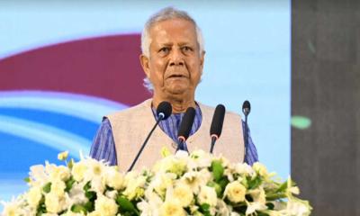 পরিবেশ ধ্বংসের দায় আমাদের সবার : প্রধান উপদেষ্টা