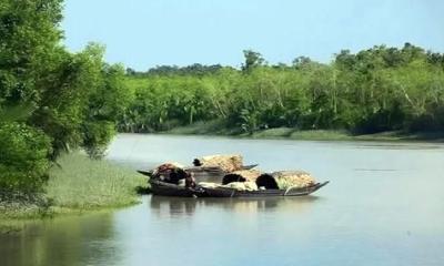 বনদস্যু আতঙ্কে দিন কাটছে সুন্দরবনের জেলে ও বনজীবীদের