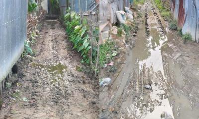 বাঘাইছড়ি পৌরসভার ৭ নং ওয়ার্ডে সংযোগ সড়কগুলো চলাচলের অযোগ্য