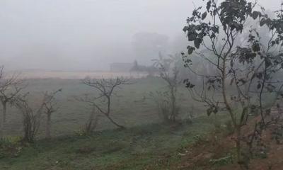 টানা ৫ দিন ধরে দেশের সর্বনিম্ন তাপমাত্রা পঞ্চগড়ে