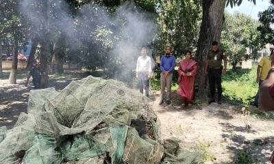 কোটচাঁদপুরে বিলে অভিযান,জব্দকৃত চায়না জব্দ পুড়িয়ে ধ্বংস