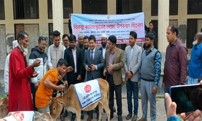 বিকল্প কর্মসংস্থানের লক্ষ্যে জেলেদের মাঝে গরু বিতরণ