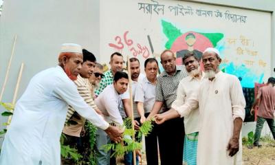 জুলাই শহীদদের স্মরণে সরাইলে ‘এক শহীদ, এক বৃক্ষ’ রোপণ