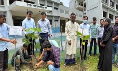 পলাশে ‘এক শহীদ, এক বৃক্ষ’ কর্মসূচি উদযাপন
