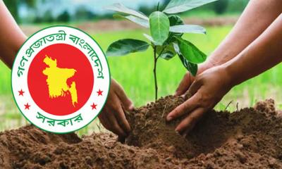 পরিবেশ রক্ষায় ২৫ কোটি গাছ লাগাবে সরকার