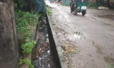 মশার কামড়ে অতিষ্ঠ গোদাগাড়ী পৌরবাসী