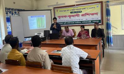 নালিতাবাড়ীতে মসলার উন্নত জাতের প্রশিক্ষণ অনুষ্ঠিত