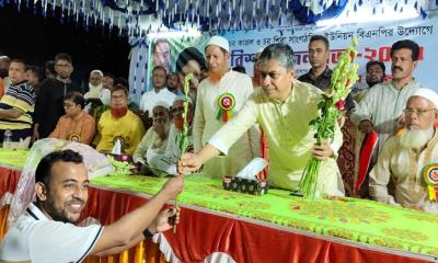 রাষ্ট্রক্ষমতায় বিএনপি আসলে চরাঞ্চলকে উন্নয়নের রোল মডেলে রূপান্তরিত করা হবে — হাসান মামুন