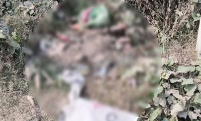 নড়াইলে শপিং ব্যাগে নবজাতকের মরদেহ, টানাহেঁচড়া করছিল কুকুর