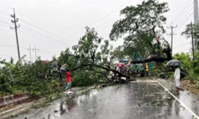 বোয়ালখালীতে হঠাৎ কালবৈশাখী ঝড়ে শিশুসহ আহত ৯