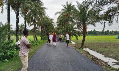 বৃষ্টির মধ্যেই কোটচাঁদপুরে সড়কে কার্পেটিংয়ের  কাজ করার অভিযোগ  ঠিকাদারি প্রতিষ্ঠানে বিরুদ্ধে