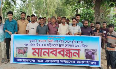রায়গঞ্জে চুরি হওয়া গরু-মহিষ উদ্ধারের দাবিতে মানববন্ধন