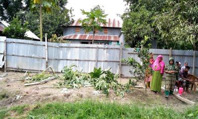সাটুরিয়ায় জোরপূর্বক জমি দখলের অভিযোগ, আতঙ্কে এলাকাবাসী