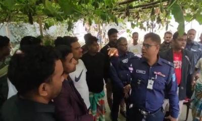 সিংগাইরে গরু চুরি করতে গিয়ে গণপিটুনিতে দুই চোর নিহত