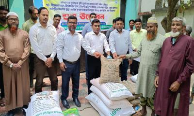 জীবননগরে কৃষকদের মাঝে বিনামূল্যে বীজ ও রাসায়নিক সার বিতরণ