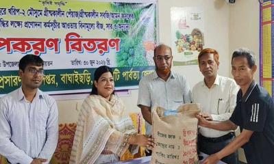 বাঘাইছড়িতে ৭০০ ক্ষুদ্র ও প্রান্তিক কৃষকের মাঝে বিনামূল্যে আমন বীজ ও সার বিতরণ