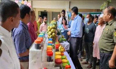 বোয়ালখালীতে কৃষি সম্প্রসারণ অধিদপ্তরের ফল মেলা উদ্বোধন