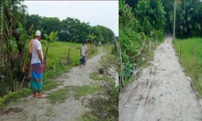কাবিখা, কাবিটা ও টিআর প্রকল্পের মাধ্যমে বদলে যাচ্ছে চরফ্যাশনের গ্রামীণ জনপদ