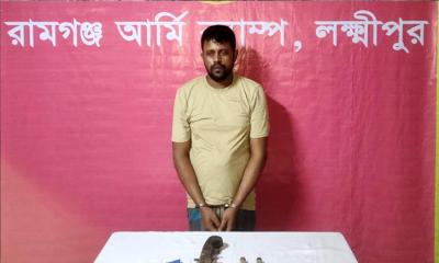 রামগঞ্জে যৌথবাহিনীর হাতে অস্ত্র ও মাদকসহ ইয়াবা  গ্রেফতার