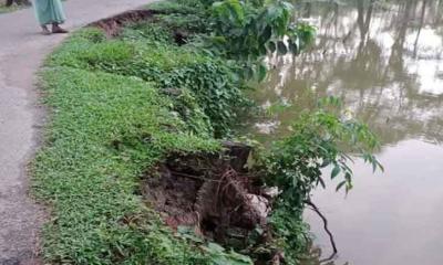 বোয়ালখালীতে ইমামুল্লার চর সড়ক পুকুরে বিলীন হওয়ার পথে