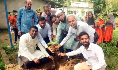 চন্দনাইশ প্রেস ক্লাবের উদ্যোগে বৃক্ষরোপণ ও চারা বিতরণ কর্মসূচি