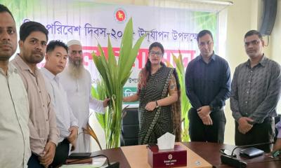 তিতাসে বিশ্ব পরিবেশ দিবস পালিত
