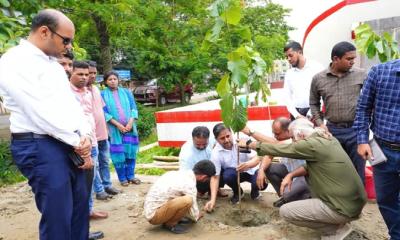 শেরপুরে বৃক্ষমেলার সমাপনী এবং জুলাই গণঅভ্যুত্থানে শহীদদের স্মরণে বৃক্ষরোপণ কর্মসূচি অনুষ্ঠিত
