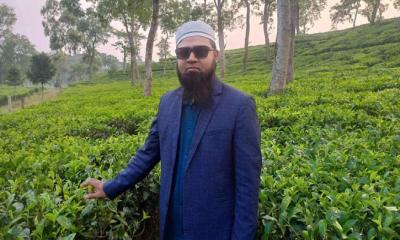 সরাইলে কভার্ডভ্যান-সিএনজি সংঘর্ষে নিহত ১