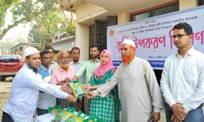 সুন্দরগঞ্জে কৃষকদের মাঝে পাট ও হলুদ বীজ বিতরণ