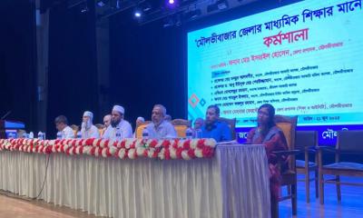 মাধ্যমিক ও উচ্চ মাধ্যমিক শিক্ষার মানোন্নয়ন শীর্ষক কর্মশালা